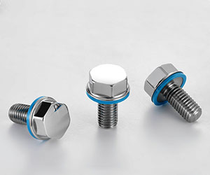 HYGIENIC HEXAGON SCREWS